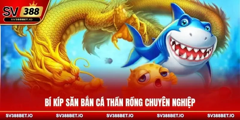 Bí kíp săn bắn cá Thần Rồng chuyên nghiệp