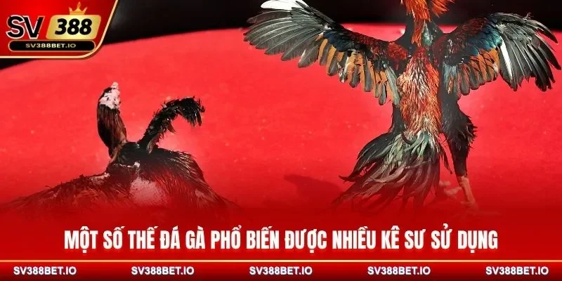 Một số thế đá gà phổ biến được nhiều kê sư sử dụng